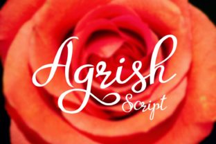 Agrish Script Font Review for Brand Identity