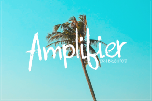 Amplifier Dry Brush Font Review for Campaign Design