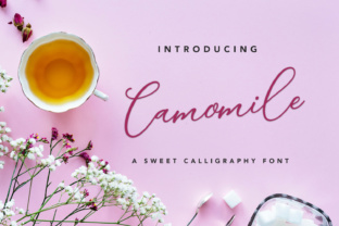 Camomile Script Typeface for Editorial Design and Branding