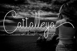 Cattalleya: The Handwritten Script Font for Distinct Campaign Visuals