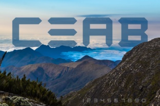 CEAB Typeface Review: Optimizing Futuristic Campaign Headlines