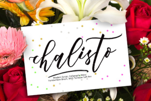 Chalisto Script Handwritten Fonts for Modern Campaigns