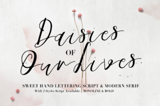 Daisies of Our Lives Typeface for Modern Campaign Design