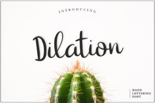 Dilation: The Handwritten Script Font for Trendy Brand Identity