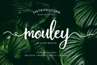 Mouley: The Trendy Handwritten Script Font for Modern Campaigns