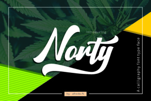 Norty: A Fresh Script Handwritten Typeface for Modern Crafters