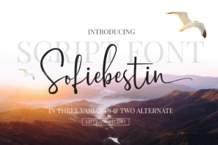 Sofiebestin Script: Modern Handwritten Fonts for Digital Branding