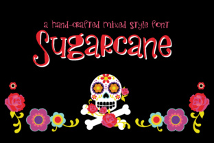 Sugarcane: The Whimsical Handwritten Font for Youthful Editorial Design